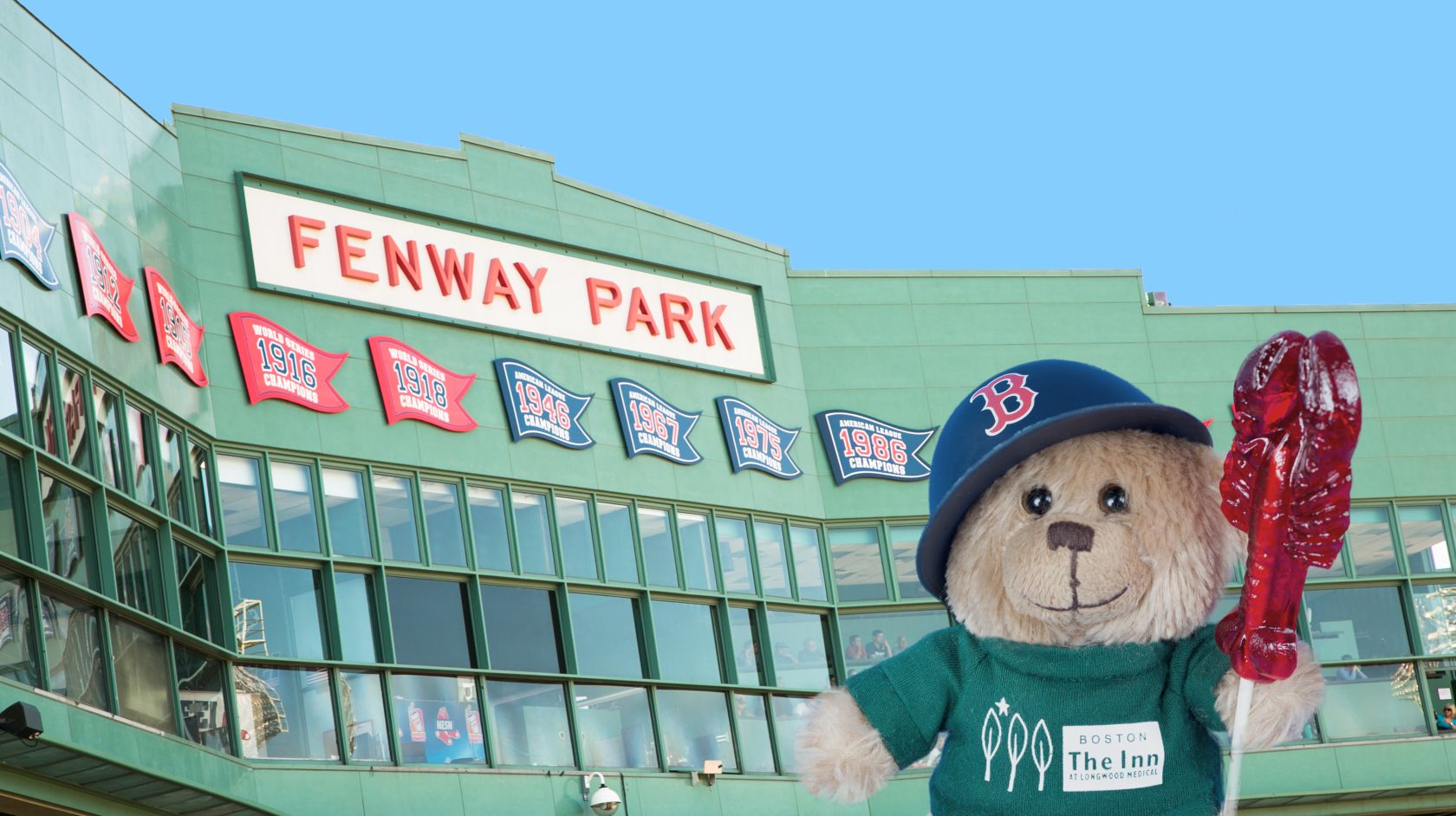 hope the bear at fenway park