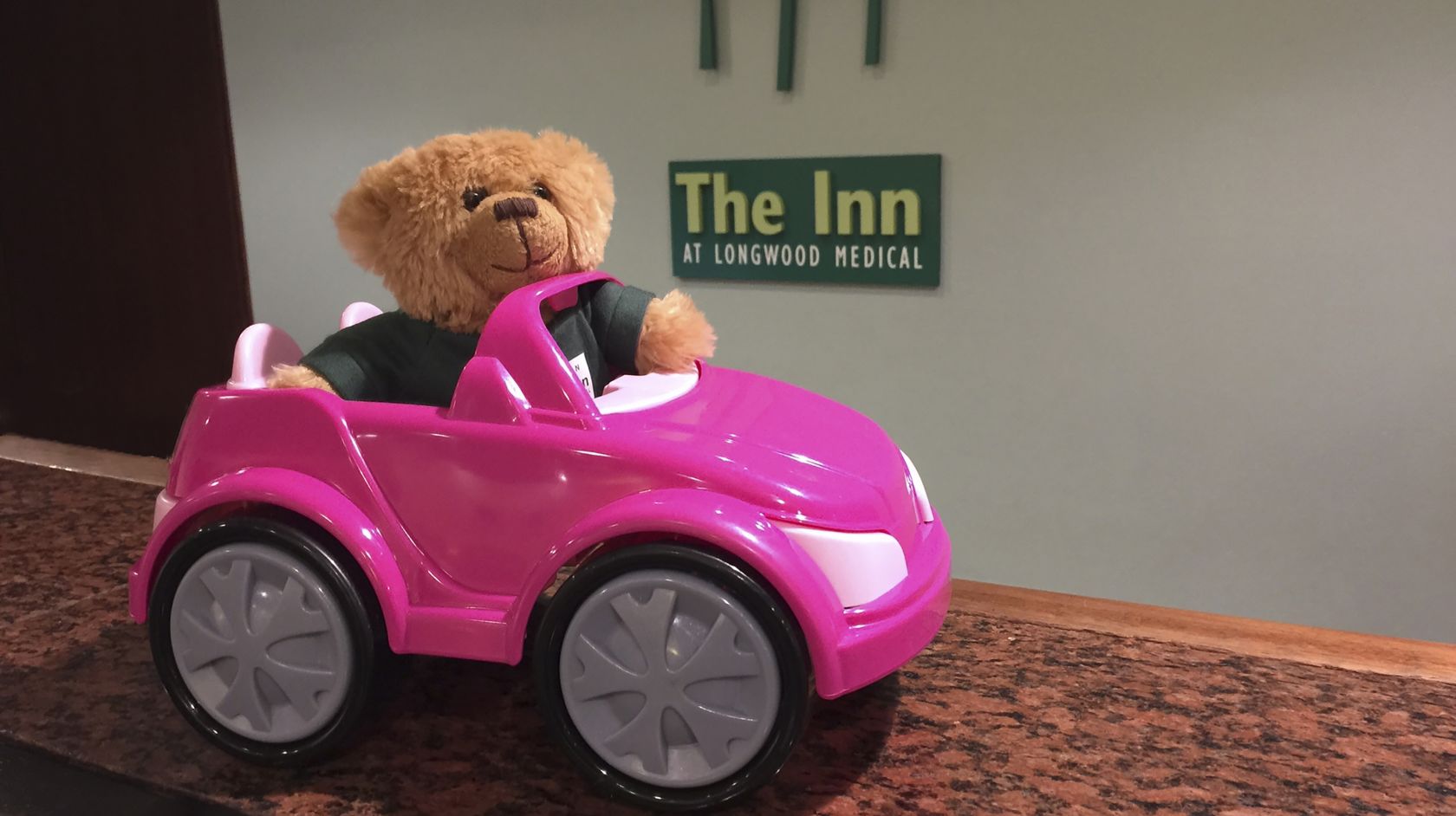 hope the teddy bear in a toy car on the front desk