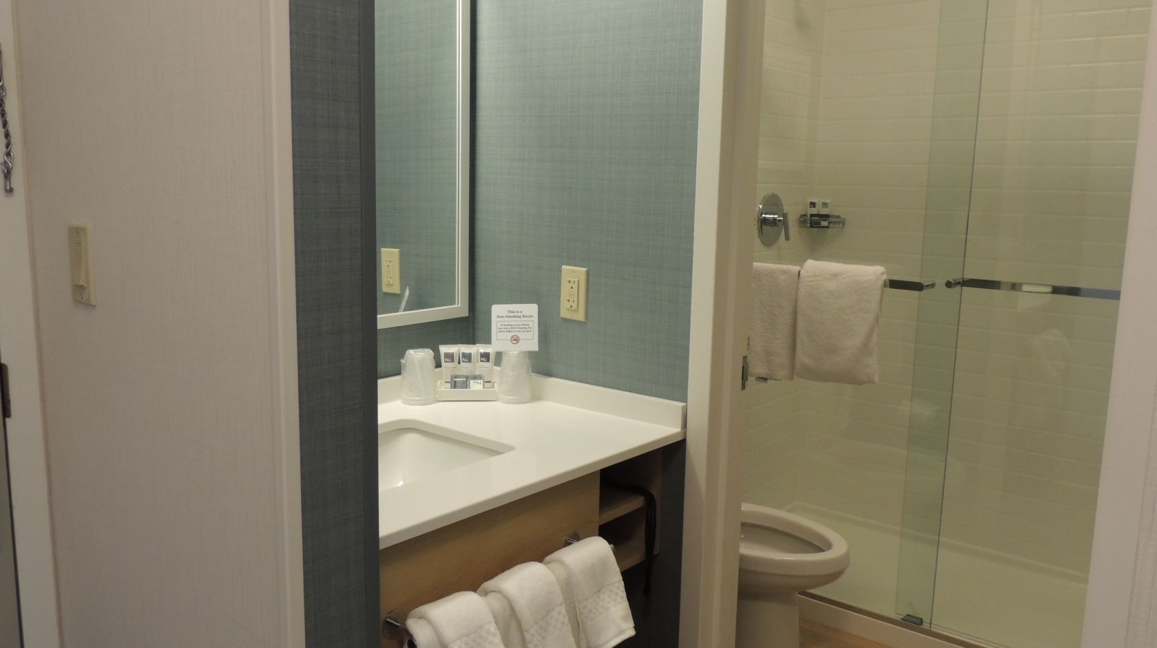 A White Sink Sitting Next To A Glass Shower Door